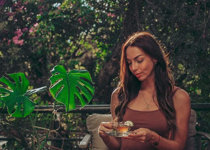 Mesken ホテル ギョジェク