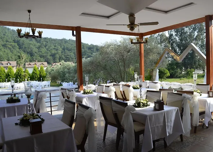 Mesken ギョジェク